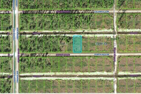 Land in Indian lake estates, Florida № 2162027 - photo 4