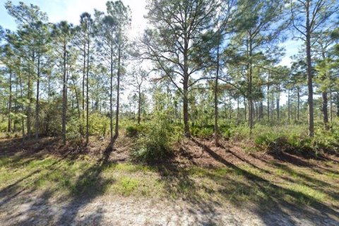 Land in Indian lake estates, Florida № 2162027 - photo 5
