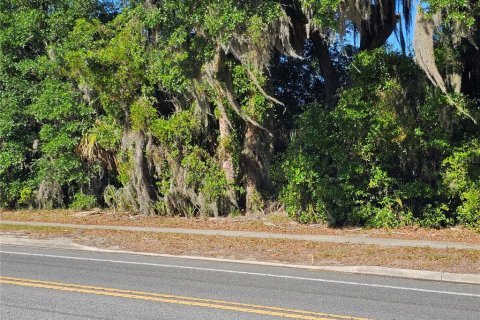 Commercial property in Pierson, Florida № 2209127 - photo 8