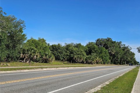 Commercial property in Pierson, Florida № 2209127 - photo 5