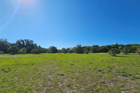 Commercial property in Pierson, Florida № 2209127 - photo 18