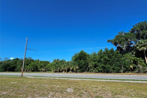 Commercial property in Pierson, Florida № 2209127 - photo 6