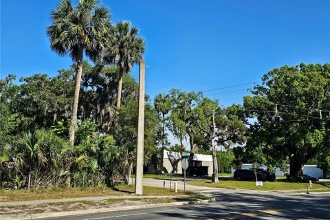 Commercial property in Pierson, Florida № 2209127 - photo 9