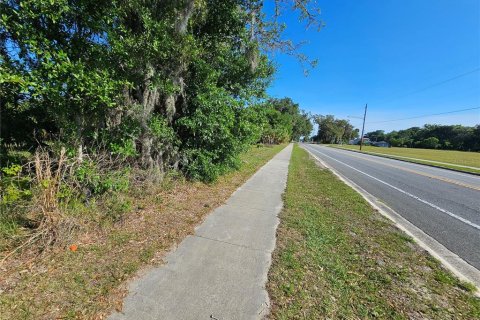 Commercial property in Pierson, Florida № 2209127 - photo 3