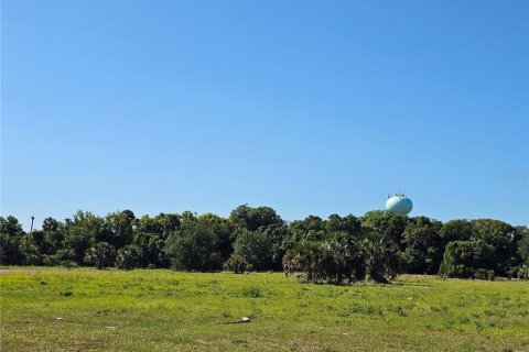 Commercial property in Pierson, Florida № 2209127 - photo 17