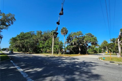 Commercial property in Pierson, Florida № 2209127