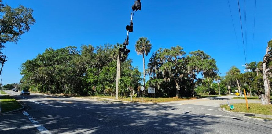 Commercial property in Pierson, Florida № 2209127