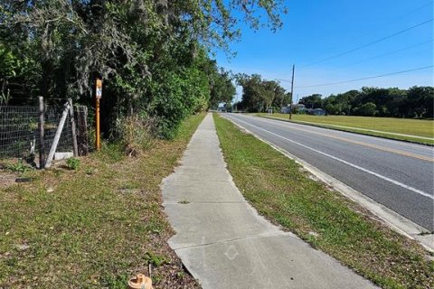 Commercial property in Pierson, Florida № 2209127 - photo 2