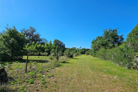 Commercial property in Pierson, Florida № 2209127 - photo 14