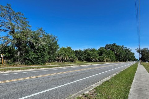 Commercial property in Pierson, Florida № 2209127 - photo 4