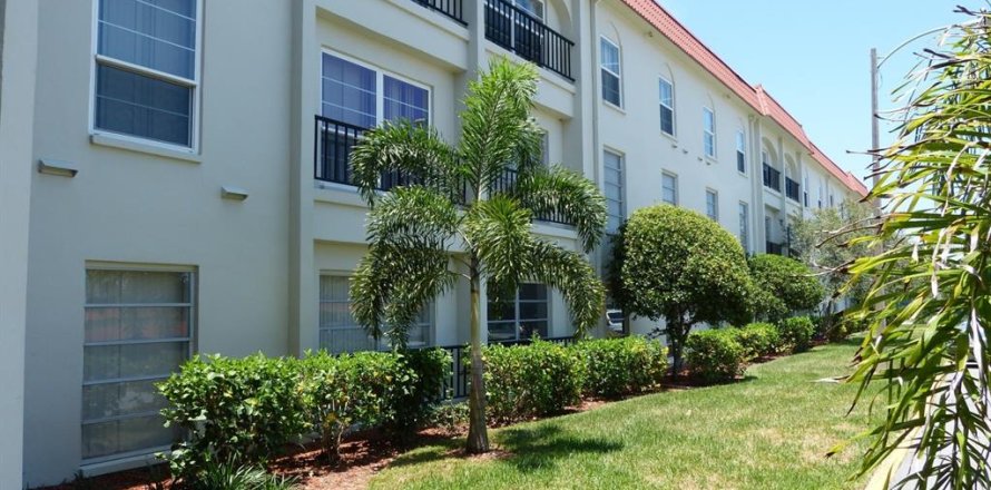 Condo à Dunedin, Floride, 2 chambres № 2233209