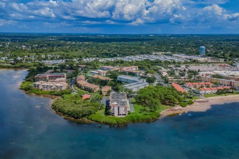 Copropriété à vendre à Dunedin, Floride: 2 chambres, 86.4 m2 № 2233209 - photo 26