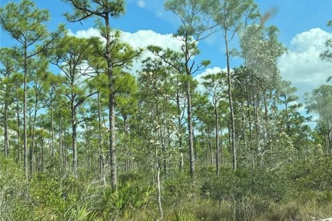 Terreno en venta en Punta Gorda, Florida № 1339563 - foto 3