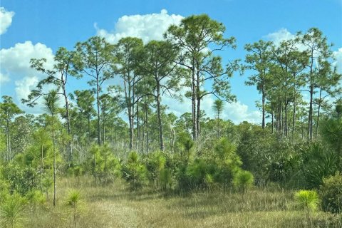 Terreno en venta en Punta Gorda, Florida № 1339563 - foto 1
