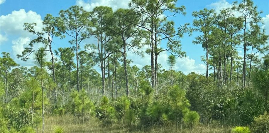 Terreno en Punta Gorda, Florida № 1339563