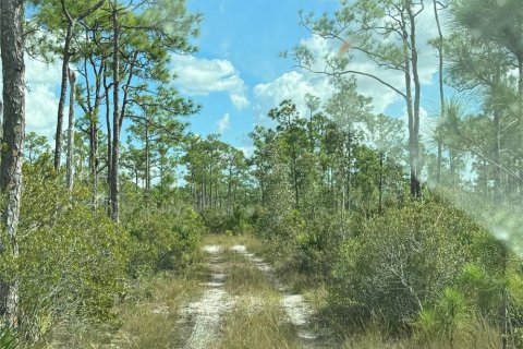 Terreno en venta en Punta Gorda, Florida № 1339563 - foto 2