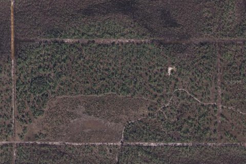 Terreno en venta en Punta Gorda, Florida № 1339563 - foto 5