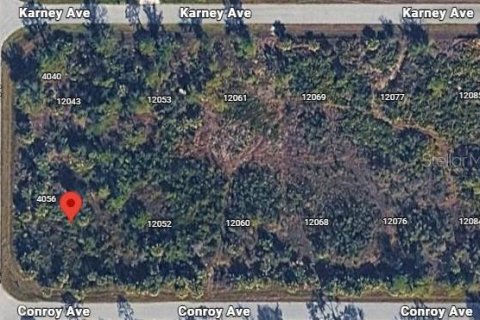 Land in Port Charlotte, Florida № 2198547 - photo 2