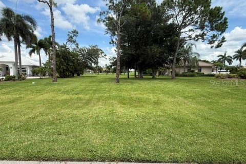 Terrain à vendre à Punta Gorda, Floride № 2284088 - photo 5