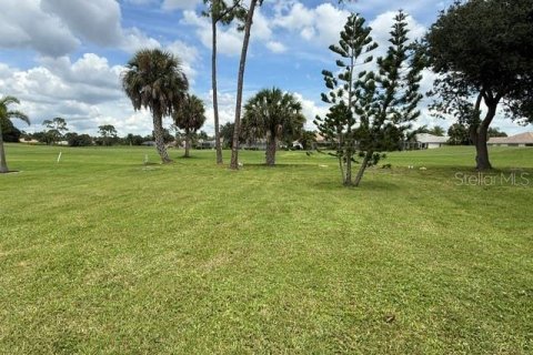 Terrain à vendre à Punta Gorda, Floride № 2284088 - photo 8