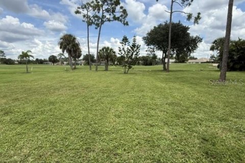 Terrain à vendre à Punta Gorda, Floride № 2284088 - photo 6
