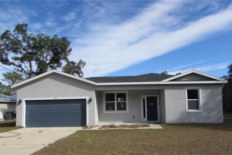 Villa ou maison à Ocklawaha, Floride 4 chambres, 154.96 m2 № 2111911