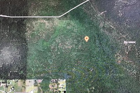 Land in Lake Helen, Florida № 2231783 - photo 2