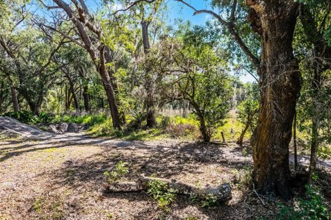 Terreno en venta en Lutz, Florida № 1648442 - foto 14