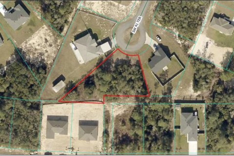 Land in Ocala, Florida № 2236644 - photo 2