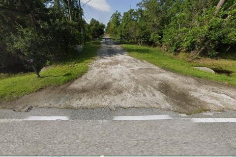 Land in Orlando, Florida № 2118541 - photo 4