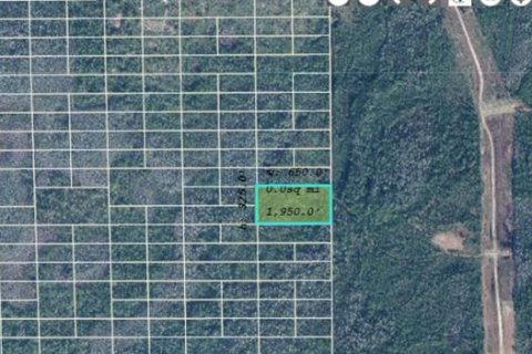 Land in Orlando, Florida № 2118541