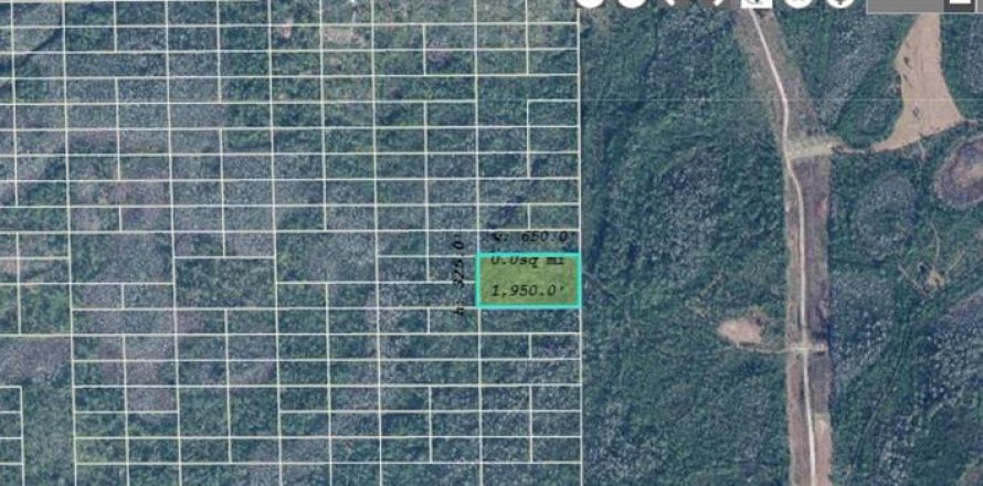Land in Orlando, Florida № 2118541