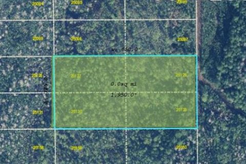 Land in Orlando, Florida № 2118541 - photo 3
