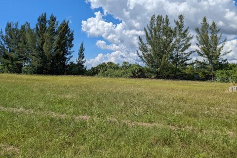 Land in Placida, Florida № 1434217 - photo 8