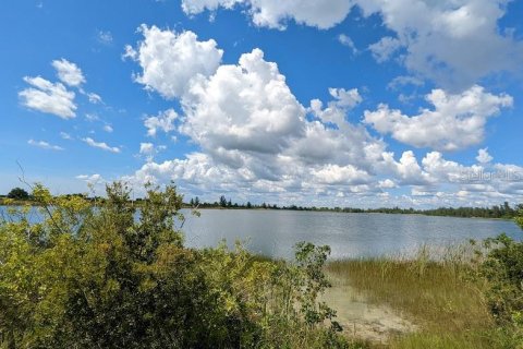 Land in Placida, Florida № 1434217 - photo 4