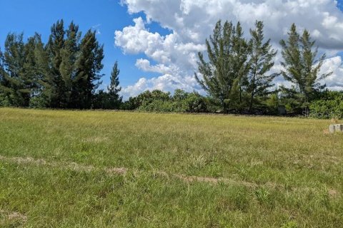 Land in Placida, Florida № 1434217 - photo 9