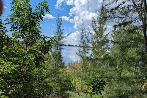 Land in Placida, Florida № 1434217 - photo 5