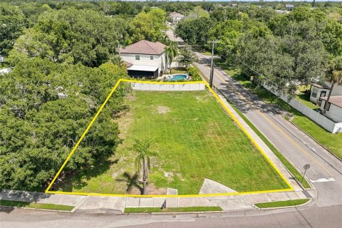 Land in Tampa, Florida № 2366669