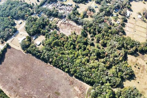 Terreno en venta en Ocala, Florida № 2094386 - foto 8