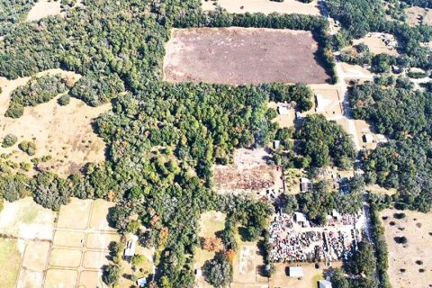 Terreno en venta en Ocala, Florida № 2094386 - foto 5