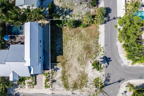 Terreno en venta en Anna Maria, Florida № 1916726 - foto 5