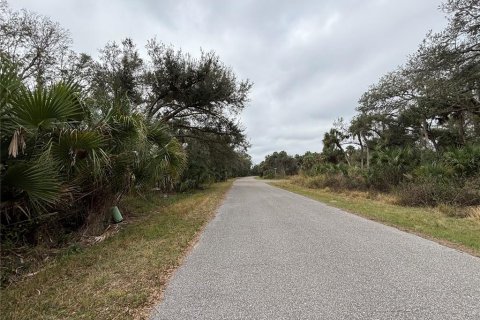 Land in North Port, Florida № 2162725 - photo 3