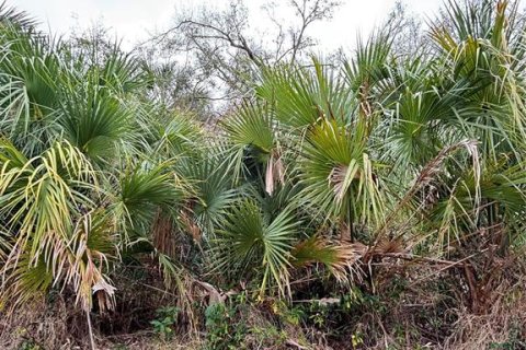 Land in North Port, Florida № 2162725