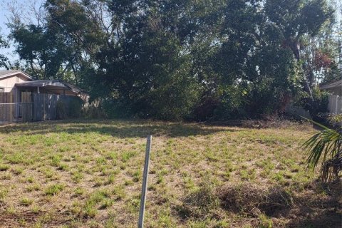 Land in Tarpon Springs, Florida № 1716970 - photo 2