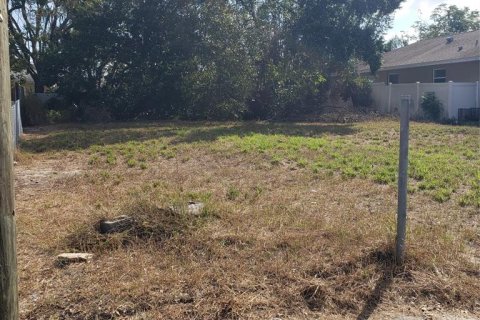 Land in Tarpon Springs, Florida № 1716970 - photo 1