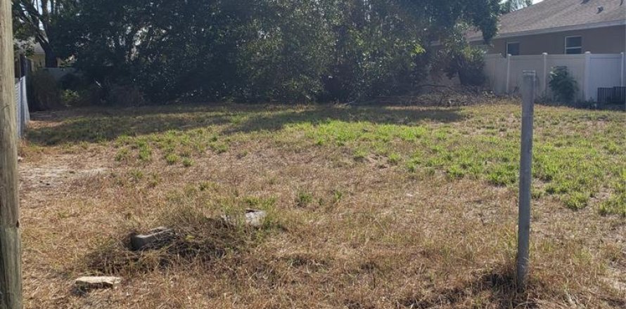 Land in Tarpon Springs, Florida № 1716970