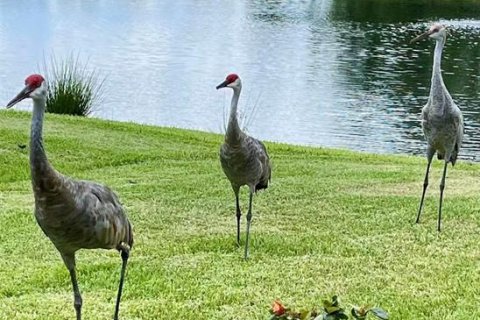 Casa en venta en Orlando, Florida, 4 dormitorios, 203.27 m2 № 2363340 - foto 25