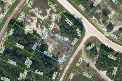 Land in Lake Placid, Florida № 2223993 - photo 2