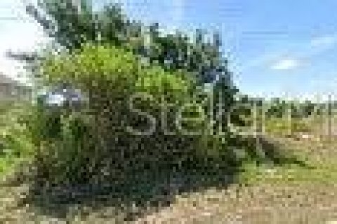 Land in Port Charlotte, Florida № 2229070
