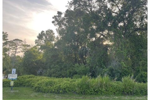 Terreno en venta en DeLand, Florida № 1778258 - foto 3